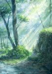  cliff commentary_request day foliage forest grass highres landscape light_rays nature no_humans original outdoors scenery stream sunbeam sunlight tree water yukiko_osa 