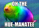  colors english_text low_res manatee overweight rainbow solo text 