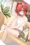  1girl :o ange_katrina ange_katrina_(6th_costume) bare_arms bare_legs bare_shoulders ben-day_dots blue_eyes blush brown_cat camisole cat collarbone commentary_request couch dutch_angle foot_out_of_frame grey_shorts hair_intakes head_tilt highres holding_own_leg indoors knee_up koutauros420915 looking_at_viewer medium_hair nail_polish nijisanji nose_blush open_mouth pink_nails red_hair screentones shorts sitting socks solo sparkle strap_slip twitter_username virtual_youtuber white_camisole white_socks 