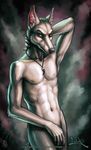  amber_eyes anthro biceps black_nose canine claws frown fur grey_fur imiak jackal leaning male mammal muscles navel necklace nicolas nipples nude orange_eyes pecs pendant piercing pose solo 