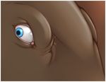  blue_eyes brown_skin close-up digitalduckstudios ducko solo unknown_species 