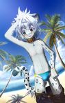  anthro beach blush cat clothing collar feline green_eyes hair leopard looking_at_viewer male mammal outside pants pants_down rate sea seaside sky smile solo speedo swimsuit water white_hair young 