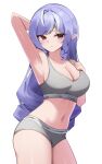  1girl arm_behind_head arm_up armpits bare_arms bare_shoulders braid breasts cleavage commentary_request cowboy_shot crop_top grey_panties grey_sports_bra highres large_breasts long_hair looking_at_viewer multicolored_hair navel panties pointy_ears puleudingding purple_hair red_eyes simple_background sleeveless solo sports_bra stomach streaked_hair thighs underwear very_long_hair vivian_banshee white_background zenless_zone_zero 