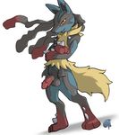  balls canine clothing crossed_arms dark_nek0gami erection fluffy_tail fur half-erect jackal looking_at_viewer lucario male mammal mega_evolution mega_lucario nintendo pants penis plain_background pok&#233;mon pok&eacute;mon red_eyes smile solo video_games white_background zipper 