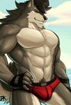  abs anthro barazoku biceps big_muscles black_nose brown_fur bulge canine chest_tuft claws clothed clothing drks fangs fur gloves grey_fur grin hair hat looking_at_viewer male mammal muscles one_eye_closed outside pecs pinup pose pubes red_eyes scar skimpy smile solo speedo standing swimsuit tan_fur teeth toned topless tuft wink wolf 