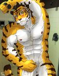  abs anthro beast beefcake biceps big_muscles black_fur blush body_markings canine claws clothing feline flexing fur gorgeous grin hair hentist hot hunk looking_at_viewer male mammal manful manly markings muscles nipples nude orange_fur pecs pink_nose pose shower smile solo stripes strong tiger toned toragami_gaou vein virility water wet white_fur yellow_eyes 