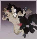  2026 animal_genitalia animal_penis anthro areola balls black_body black_fur blush bodily_fluids breast_grab breasts canid canine canine_genitalia canine_penis canis claws coyote digital_media_(artwork) duo echo_(wolffylegend) ershd eyes_closed face_lick female from_behind_position fur genital_fluids genitals hand_on_breast heart_symbol hi_res inner_ear_fluff knot knotted_penis licking lying male male/female mammal nipples on_side one_leg_up open_mouth pawpads paws penetration penile penile_penetration penis penis_in_vagina pointy_ears prick_ears raised_leg romantic romantic_couple sex signature sound_effects spoon_position tail tan_body tan_fur teeth toe_claws tongue tuft vaginal vaginal_fluids vaginal_penetration wolf yellow_eyes zeeah_(characters) 