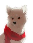 2015 akita azzai black_nose canid canine canis colored digital_drawing_(artwork) digital_media_(artwork) domestic_dog eyebrows feral fur head_tuft male mammal mostly_nude red_eyes red_scarf scarf scarf_only shaded simple_background solo spitz torn_scarf tuft white_background white_body white_eyebrows white_fur
