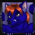  ambiguous_gender blue_skin canine close-up digital_media_(art) ear_fluff fox hair headshot headshot_portrait herm intersex mammal multi_limb multiple_arms nisharu orange_hair portrait red_hair sixpaws smile solo tazel yellow_eyes 