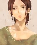  bad_id bad_pixiv_id brown_eyes brown_hair freckles guruko_minami lips parted_lips shingeki_no_kyojin short_hair solo upper_body ymir_(shingeki_no_kyojin) 