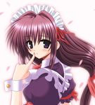  copyright_request hair_ribbon long_hair maid purple_eyes purple_hair ribbon solo waiai 