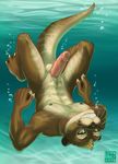  abs balls barefoot blush claws erection ferality grin humanoid_penis looking_at_viewer male mammal mustelid nipples nude otter penis smile solo teeth toe_claws underwater upside_down vein water webbed_feet webbed_hands whiskers 