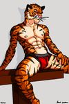  anthro biceps clownboy1 feline male mammal muscles pecs pose solo tiger underwear 
