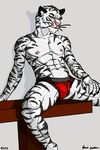  anthro biceps clownboy1 feline male mammal muscles pecs pose solo tiger underwear white_tiger 