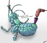  antennae anthro anus arthropod bound breasts dialog digitigrade dildo drill drilldo english_text female hands_tied insect lying mandible multi_breast multi_limb multiple_limbs nude on_back plain_background power_tool pussy rope sex_toy simple_background solo text white_background zevex 