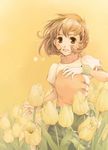  artist_request blush brown_eyes brown_hair flower gensou_suikoden gensou_suikoden_ii gloves nanami_(suikoden) short_hair smile solo yellow_background 