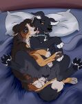 absurd_res after_sex anatomically_correct anatomically_correct_genitalia anatomically_correct_vulva animal_genitalia animal_vulva balls bed bedding bedroom_sex bernese_mountain_dog black_body black_fur blanket bodily_fluids canid canine canine_genitalia canine_vulva canis collar cum cum_inside domestic_dog duo entwined_tails female feral feral_on_feral from_behind_position fur furniture genital_fluids genitals hi_res intimate knot_root knotting leaking_cum licking love male male/female mammal molosser mountain_dog muskydusky neck_lick on_bed pawpads paws penetration pillow romanian_raven_shepherd sex spoon_position spooning stea_(muskydusky) swiss_mountain_dog tail tail_coil tongue vaginal vaginal_penetration vulva