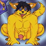  bdsm bodily_fluids breath caine_latrans_(artist) canid canine canis conditioning coyote erection facing_forward genital_fluids hi_res hypnosis male mammal mind_control nude_male panting petplay precum puppyplay ringing_bell roleplay sitting sitting_on_ground squatting_pose submissive submissive_male 