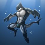  abs anthro biceps bulge cheesestrings fangs fin fish male marine muscles pecs pose scales shark solo swimming teeth toned topless underwater water 