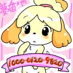  animal_crossing anthro blush canine dog female isabelle_(animal_crossing) mammal nintendo nude solo translated translation_request unknown_artist video_games 