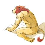  feline jiandou lion male mammal nude solo 