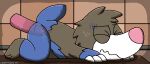  2024 2d_animation ambiguous_gender anal anal_penetration animated artist_name blue_body blue_fur bodily_fluids claws dated disembodied_penis drilbur eyes_closed flying_sweatdrops fur generation_5_pokemon genitals gloves_(marking) grey_body grey_fur leg_markings male_(lore) markings nintendo no_sound penetration penile penile_penetration penis penis_in_ass pokemon pokemon_(species) raised_tail socks_(marking) solo sweat sweatdrop tail text white_body white_fur x-ray_view zandermanith 