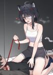  1boy 1girl absurdres alternate_costume animal_collar animal_ears arknights arknights:_endfield black_hair black_shirt black_shorts blue_eyes blue_shorts breasts camisole collar commentary english_commentary eyepatch femdom heavy_breathing highres holding holding_leash iffyru leash leash_pull lying medium_breasts navel on_back on_bed open_mouth shirt shorts sitting sitting_on_person straddling sweatdrop tail tangtang_(arknights) tiger_ears tiger_girl tiger_tail white_camisole 