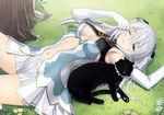  altina animal cat elbow_gloves elf grass scan shining_blade skirt taka_tony white_hair 