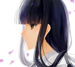  backlighting bad_id bad_pixiv_id black_hair brown_eyes cross_akiha hair_tubes inuyasha kikyou_(inuyasha) long_hair petals portrait profile solo white_background 