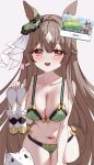  1girl absurdres animal_ears bare_arms bare_shoulders blush boots bra braid breasts brown_eyes brown_hair cameltoe cat cleavage collarbone covered_nipples diamond_(shape) double-parted_bangs ear_ornament green_bra green_panties hair_between_eyes half_up_braid highres horse_ears horse_girl horse_tail korean_text large_breasts long_hair looking_at_viewer multicolored_hair navel open_mouth panties satono_diamond_(umamusume) simple_background smile solo stomach streaked_hair tail tandohark teeth umamusume underwear underwear_only upper_teeth_only very_long_hair white_background white_boots 