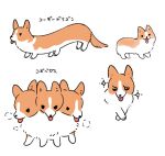  :p animal_focus commentary english_commentary extra_legs miyako_(xxxbibit) multiple_heads no_humans original simple_background sparkle tongue tongue_out translation_request welsh_corgi white_background 