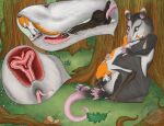 2026 4_toes 5_fingers 5_toes 69_position 6_nipples absurd_res acorn against_natural_surface against_surface against_tree american_opossum anatomically_correct anatomically_correct_anus anatomically_correct_cloaca anatomically_correct_genitalia anatomically_correct_penis animal_genitalia animal_penis animal_vulva anus arm_markings aroused balls barely_visible_teeth bat belly_nipples bite black_body black_cloaca black_ears black_fur black_hands black_markings black_skin black_tail blue_eyes bodily_fluids branch brown_balls brown_body brown_ears brown_eyes brown_feet brown_fur brown_nose brown_penis brown_skin brown_tail brown_wings cervix chiropteran_penis claws cloaca cloaca_juice cloacal cloacalingus continuation cosmicgryphon countershading cunnilingus curious curved_tail cutaway deep_cunnilingus detailed_background digital_media_(artwork) digital_painting_(artwork) dipstick_ears dipstick_tail dominant dominant_female dripping duo ear_markings educational educational_porn english_text erection eye_markings eyespots facial_markings fangs feet female female_feral female_penetrated feral feral_on_feral feral_penetrated feral_penetrating feral_penetrating_female feral_penetrating_feral finger_claws fingerless_(marking) fingers flying_fox food foot_markings fruit fur fur_markings furry_tail genital_exploration genital_fluids genitals ghost_bat grass grey-headed_flying_fox grey_body grey_fur grinning_at_partner guard_hair hand_markings hand_on_back hanging_by_feet hanging_from_another head_markings hi_res hybrid internal internal_pouch internal_vaginal jack_desmodus kali_denise leaf leaf-nosed_bat leg_markings licking light long_ears long_tail long_tongue looking_at_another lying male male/female male_feral male_penetrating male_penetrating_female mammal markings marsupial marsupial_genitalia marsupial_vulva megabat megadermitid membrane_(anatomy) membranous_wings microbat monotone_anus monotone_balls monotone_feet monotone_genitals monotone_markings monotone_penis monotone_wings multi_cervix multi_nipple multi_teat multi_uterus multi_vaginal_canals multicolored_body multicolored_ears multicolored_fur multicolored_skin multicolored_tail nipples nut_(fruit) on_ground oral orange_body orange_fur orange_tail orange_tuft outside ovaries painted_bat painting_(artwork) paws penetration penile penile_penetration penile_spines penis penis_in_pouch perineum perineum_lick pink_anus pink_body pink_cloaca pink_ears pink_hands pink_insides pink_nipples pink_nose pink_paws pink_skin pink_tail pink_tongue plant plantigrade pouch_(anatomy) pouch_penetration pouch_play precum precum_drip prehensile_tail prehensile_tongue rat_tail realistic_wings red_insides sex sexual_exploration shaded side_view signature sitting sitting_69_position sitting_on_ground slight_smile slightly_open_mouth small_anus smaller_version_at_source spotted_bat sunlight tail tail_bite tail_in_mouth tail_markings tapering_tongue teats teeth text the_more_you_know threading three-quarter_view tight_balls toe_claws toeless_(marking) toes tongue tongue_out tongue_penetration tragus tree tube-lipped_nectar_bat tuft two_tone_body two_tone_hands two_tone_skin two_tone_tail uterus vaginal vaginal_canal vaginal_fluids vampire_bat vesper_bat virginia_opossum vulva water_opossum watermark webbed_feet whisker_spots whiskers white-eared_opossum white_body white_claws white_ears white_fur white_tail white_whiskers wide_eyed wings x-ray_view yangochiropteran