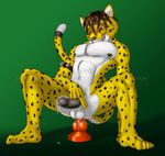  anal_masturbation anal_penetration anthro balls biceps black_penis body_markings cheetah dildo dildo_sitting dripping erection feline fur genital_piercing insertion ishiga-san leaking lube male mammal markings masturbation muscles nipple_piercing nipples nude pecs penetration penis piercing pose precum sex_toy sheath solo spots spread_legs spreading 