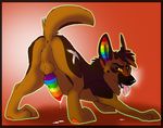  ass_up balls butt canine cum dog erection feral knot male mammal open_mouth penis perineum precum presenting presenting_hindquarters pure-ruby-dragon rainbow rainbow_markings rainbow_penis saliva tongue travesty_(character) 