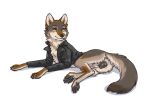 animal_genitalia animal_vulva canid canine canine_genitalia canine_vulva canis clothed clothing coyote digital_media_(artwork) feet female feral fur genitals jacket looking_at_viewer lying mammal niffad open_clothing open_jacket open_topwear pawpads paws simple_background smile solo tail toes topwear vulva