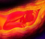 2025 endosoma eyelashes eyes_closed female glowing hi_res ink-the-artist internal lagomorph leporid mammal nude pubes rabbit safe_vore solo vore warm x-ray_view