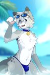 2026 absurd_res anthro beach bell bell_collar bikini bikini_bottom bikini_bottom_only blue_clothing blue_collar blue_eyes blue_eyewear blue_sunglasses blue_swimwear blurred_background blush bulge chest_tuft clothed clothing cloud collar digital_drawing_(artwork) digital_media_(artwork) dipstick_ears dipstick_fingers domestic_cat ear_markings egyptian_mau eyewear eyewear_on_head felid feline felis femboy fleurfurr fluffy fluffy_chest fur gold_bell grey_body hair hi_res island looking_at_viewer male mammal markings mostly_nude mostly_nude_anthro mostly_nude_male multicolored_ears nixuelle open_mouth outside palm_tree pink_nose plant raising_glass seaside sky skyscape solo speedo speedo_only spots spotted_markings string_bikini sunglasses sunglasses_on_head swimsuit_only swimwear swimwear_only tail teeth tongue topless tree tuft two-piece_swimsuit water wearing_sunglasses