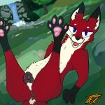 1:1 absurd_res anatomically_correct anatomically_correct_genitalia animal_genitalia animal_vulva anus blue_eyes butt canid canine canine_genitalia canine_vulva echovulpse feet female feral fluffy fluffy_body fluffy_chest foot_focus fox fur genitals hi_res imminent_sex lying mammal mouth_shot neck_tuft nipples on_back open_mouth outside pawpads paws plant presenting presenting_hindquarters presenting_vulva raised_paw red_body red_fox red_fur relaxing river rock sky smile smiling_at_viewer solo tail_anus teeth_showing texiefox tree true_fox tuft vulva waterfall