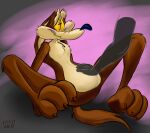 2014 3_toes abstract_background anthro arm_support arm_tuft athletic athletic_anthro athletic_male back_tuft backward_arm_support belly belly_pat belly_rub bent_legs big_belly biped black_eyes black_nose brown_body brown_fur brown_toe_claws butt butt_from_the_front calf_tuft canid canine canis casual_nudity chest_tuft claws close-up colored countershade_butt countershade_feet countershade_fur countershade_legs countershade_torso countershading coyote curled_tail dated detailed digital_drawing_(artwork) digital_media_(artwork) digital_painting_(artwork) disembodied_hand duo ears_back ears_down eyebrows featureless_butt featureless_crotch feet fluffy fluffy_chest fluffy_tail foot_focus fur half-closed_eyes head_tuft humanoid_feet humanoid_heel knee_tuft knees_up leg_tuft looking_pleasured looking_up_at_another looney_tunes lying male mammal monobutt multicolored_body multicolored_fur narrowed_eyes navel_line nude on_back painting_(artwork) paws pecs pinup pivoted_ears plantigrade pose raised_toes ribs shaded shoulder_tuft signature sitting sketch skinny skinny_anthro skinny_male slim slim_anthro slim_male smile smiling_at_viewer soles solo_focus spread_legs spread_thighs spreading stevethedragon tail tan_belly tan_body tan_eyebrows tan_fur toe_claws toes tuft two_tone_body two_tone_fur warner_brothers wide_eyed wide_hips wile_e._coyote yellow_sclera