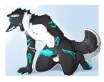4_toes 5_fingers animal_genitalia animal_penis anthro arm_support balls big_penis black_body black_fur black_nose blue_claws blue_penis blush bodily_fluids canid canine canine_genitalia canine_penis canis cheek_tuft chest_tuft claws colored cum cumshot digital_drawing_(artwork) digital_media_(artwork) ejaculation erection eyes_closed facial_tuft feet fingers full-length_portrait fur genital_fluids genitals hair hi_res kneeling li24ji male male_anthro mammal masturbation motion_lines mouth_closed navel nude_anthro nude_male orgasm paws penile penile_masturbation penis portrait shaded short_hair snout solo tail toes tuft white_body white_fur wolf