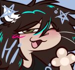 :3 animal_humanoid blush brown_hair cat_humanoid english_text felid felid_humanoid feline feline_humanoid gynomorph_(lore) hair handpaw hi_res humanoid icon inner_ear_fluff intersex_(lore) looking_at_viewer mammal mammal_humanoid one_eye_closed paws severe_acrophobia solo star_symbol text tuft white_inner_ear_fluff