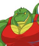  clothing crocodile flammars looking_at_viewer male muscles pecs plain_background pose reptile scales scalie shirt solo tank_top wani white_background yellow_eyes 