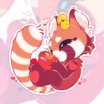 1:1 ailurid apple eating eyes_closed female feral fluffy fluffy_tail food fruit heart_(marking) hi_res mammal markings plant red_panda rubber_duck solo tail takoya_de