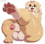 4_toes anthro balls barefoot bedroom_eyes big_balls big_penis bird_dog blonde_hair canid canine canis claws crispynecro domestic_dog eyelashes feet femboy foot_fetish foot_focus genitals golden_retriever hair hi_res hunting_dog kanzan_(crispynecro) long_hair looking_at_viewer male mammal narrowed_eyes nipples overweight overweight_male pawpads penis pink_pawpads plantigrade retriever seductive smile smiling_at_viewer solo thick_thighs toe_claws toes tongue tongue_out