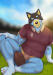 2026 360dori absurd_res anthro australian_cattle_dog ball bandit_heeler bedroom_eyes big_penis bluey_(series) blurred_background bottomless bottomless_anthro bottomless_male bulge canid canine canis cattledog claws clothed clothing collared_shirt day detailed_bulge domestic_dog erection erection_under_clothing eyebrows front_view fur genital_outline genitals grass herding_dog hi_res humanoid_genitalia humanoid_penis looking_at_viewer male mammal muscular muscular_anthro muscular_male narrowed_eyes outside pastoral_dog penis penis_outline plant raised_eyebrow rugby rugby_ball seductive shirt sitting smile solo sport sportswear topwear tuft