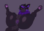 anthro anus axolaugh black_body black_fur black_hair bottomless butt canid canine canis clothed clothing female fur genitals hair heterochromia hi_res highlights_(coloring) holding_both_legs looking_at_viewer mammal orange_eyes pawpads presenting presenting_anus presenting_hindquarters presenting_vulva purple_eyes purple_highlights simple_background smile smiling_at_viewer solo sweater sweater_only topwear topwear_only vulva wolf