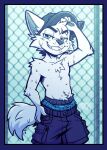anthro arctic_fox artist_name blue_eyes bodily_fluids bottomwear boxers_(clothing) canid canine clothing eyebrows featureless_chest fox fur hat headgear headwear hi_res kyubbi-arts male mammal paws pent sagging_pants shirtless shorts simple_background solo sweat sweatdrop tail text true_fox underwear visible_underwear white_body white_fur