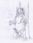 2026 5_toes against_natural_surface against_surface against_tree anatomically_correct anatomically_correct_genitalia anatomically_correct_penis animal_genitalia animal_penis aroused balls bear big_balls big_penis brown_bear claws detailed_background digital_drawing_(artwork) digital_media_(artwork) erection feet feral finger_claws fur genitals grass grizzly_bear haan_(artist) hair hi_res kuruk_(character) leaf long_penis looking_at_viewer male male_feral mammal mane mane_hair monochrome nude outside paws penis plant plantigrade quadruped rubbing_against sharp_teeth sheath sheath_slit short_ears short_fur sketch sky small_ears snout solo standing teeth thick_penis three-quarter_view toe_claws toes tongue tree ursidae ursine ursine_ears ursine_genitalia ursine_penis vein veiny_penis