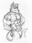  abs anthro biceps big_muscles bulge canine chest_tuft fur grin hair knuxlight male mammal muscles pecs pose sketch smile solo standing toned topless tuft underwear vein 