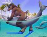 anal anal_penetration animal_genitalia animal_penis anthro anthro_on_feral anthro_penetrated aquatic balls being_watched bestiality bodily_fluids brallion butt cetacean cetacean_genitalia cetacean_penis deer dolphin duo_focus erection feral feral_penetrating feral_penetrating_anthro genital_fluids genitals group hi_res humanoid looking_at_another male male/male male_on_feral male_penetrated male_penetrating male_penetrating_male mammal oceanic_dolphin penetration penile penis sex tail tapering_penis toothed_whale